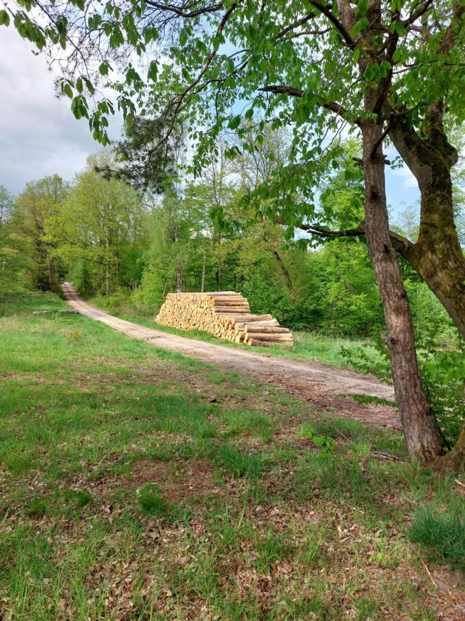Schoener Weitblick Bad Sachsa Eksteriør billede